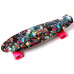 Penny Board "Hipster"